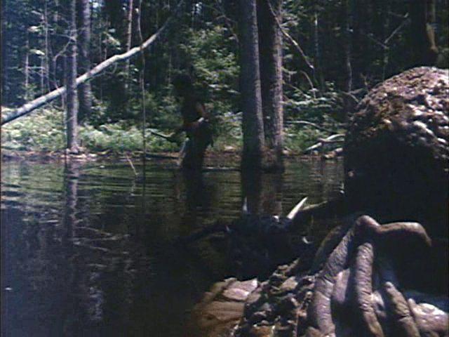 Кадр из фильма Дикарка-нимфоманка в аду у динозавров / A Nymphoid Barbarian in Dinosaur Hell (1990)
