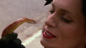 Кадры из фильма Ведьмы / The Witches (1990)