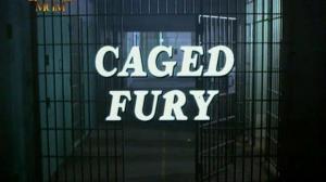 Кадры из фильма Ярость в клетке / Caged Fury (1990)