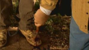 Кадры из фильма Затерянный город / Hoboken Hollow (2006)