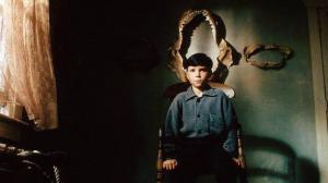 Кадры из фильма Отражающая кожа / The Reflecting Skin (1990)
