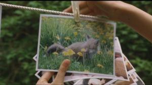 Кадры из фильма Лисичка Хэлен / Kogitsune Heren (2006)