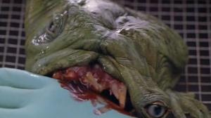 Кадры из фильма Метаморфозы: Фактор чужого / Metamorphosis: The Alien Factor (1990)
