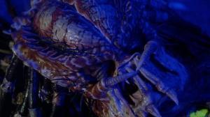 Кадры из фильма Хищник 2 / Predator 2 (1990)