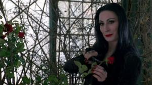 Кадры из фильма Семейка Аддамс / The Addams Family (1991)
