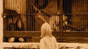 Кадры из фильма Убитые молнией (2006)