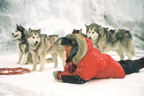 Кадр из фильма Белый плен / Eight Below (2006)