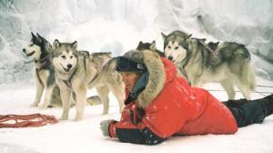 Кадры из фильма Белый плен / Eight Below (2006)