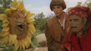 Кадры из фильма Фантагиро: Пещера Золотой Розы / Fantaghirò (1991)