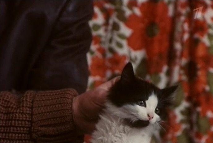 Кадр из фильма Шальная баба (1991)