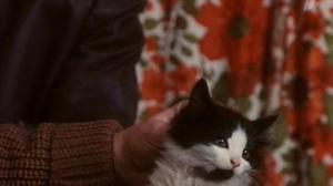 Кадры из фильма Шальная баба (1991)
