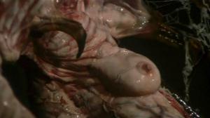 Кадры из фильма Дзэйрам / Zeiramu (1991)