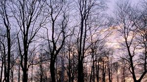 Кадры из фильма Огни городской окраины / Laitakaupungin valot (2006)