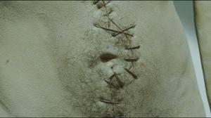 Кадры из фильма Таксидермия / Taxidermia (2006)