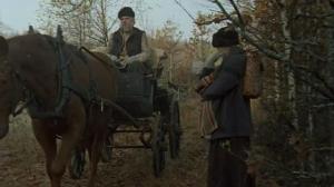 Кадры из фильма Бык / Oxen (1991)