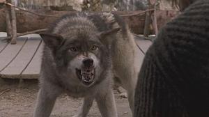 Кадры из фильма Белый клык / White Fang (1991)