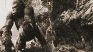 Кадры из фильма Кинг Конг Даунъ / King Kong (2006)