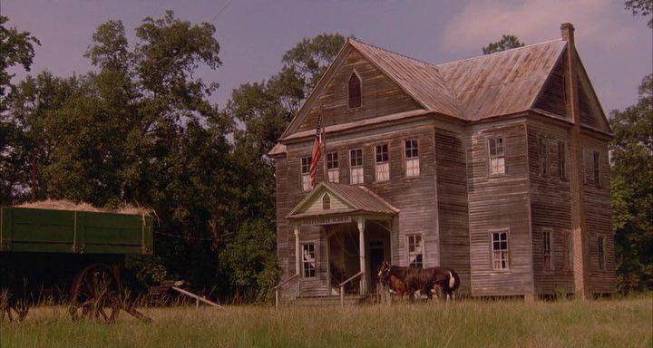Кадр из фильма Отважные сердца не разбиваются / Wild Hearts Can't Be Broken (1991)