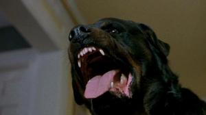 Кадры из фильма Омен 4: Пробуждение / Omen IV: The Awakening (1991)