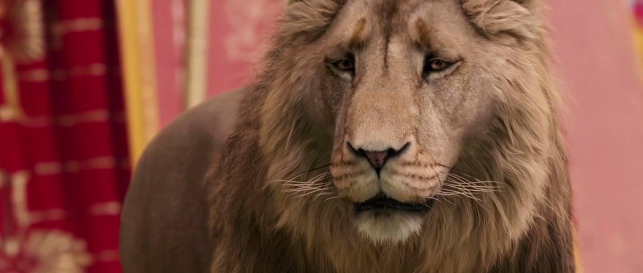 Кадр из фильма Хроники Нарнии: Лев, Колдунья и Волшебный Шкаф / The Chronicles of Narnia: The Lion, the Witch and the Wardrobe (2005)