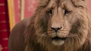 Кадры из фильма Хроники Нарнии: Лев, Колдунья и Волшебный Шкаф / The Chronicles of Narnia: The Lion, the Witch and the Wardrobe (2005)