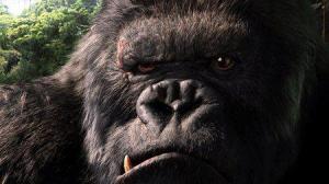 Кадры из фильма Кинг Конг / King Kong (2005)