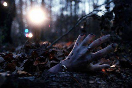 Кадр из фильма Волк_одиночка / Cry Wolf (2005)