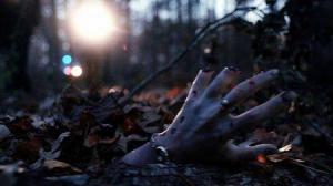 Кадры из фильма Волк_одиночка / Cry Wolf (2005)