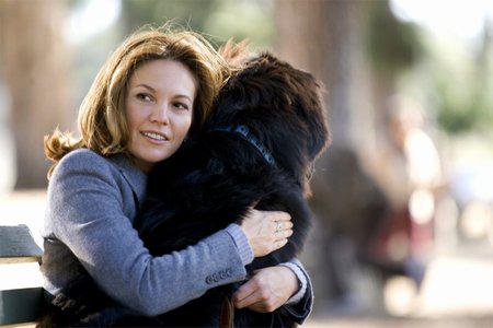Кадр из фильма Любовь к собакам обязательна / Must Love Dogs (2005)