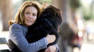 Кадры из фильма Любовь к собакам обязательна / Must Love Dogs (2005)