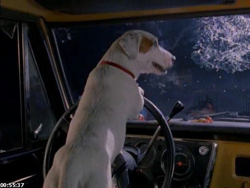 Кадр из фильма Эрнест напугал дураков / Ernest Scared Stupid (1991)