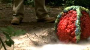 Кадры из фильма Чужая раса / The Orb (2005)