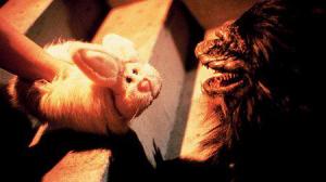 Кадры из фильма Зубастики 3 / Critters 3 (1991)