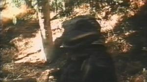 Кадры из фильма Лягушачий город 2 / Frogtown II (1992)