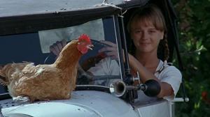 Кадры из фильма Коровы / Vacas (1992)