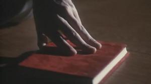 Кадры из фильма Дневники «Красной Туфельки» / Red Shoe Diaries (1992)