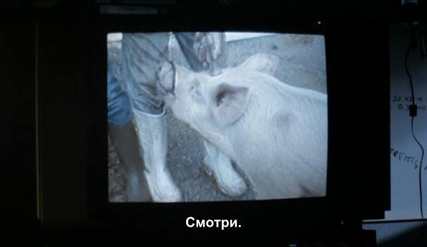 Кадр из фильма Видео Бенни / Benny's Video (1992)