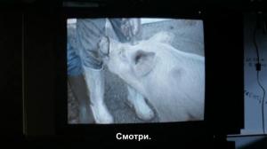 Кадры из фильма Видео Бенни / Benny's Video (1992)