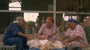 Кадры из фильма Династия Шварц / Shoshelet Schwartz (2005)