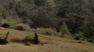 Кадры из фильма Любовь - дар божий / Sangram (1993)