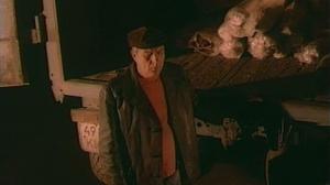 Кадры из фильма Стамбульский транзит (1993)