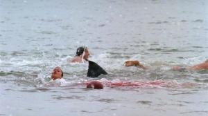 Кадры из фильма Нападение акул в весенние каникулы / Spring Break Shark Attack (2005)