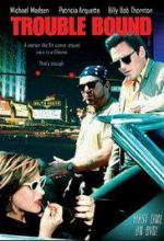 Впереди одни неприятности / Trouble bound (1993)