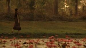 Кадры из фильма Одержимая / P (2005)