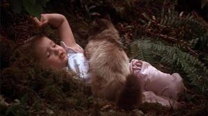Кадры из фильма Дорога домой - Невероятное путешествие / Homeward Bound: The Incredible Journey (1993)