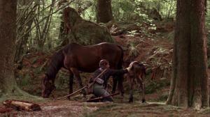 Кадры из фильма Рожденный свободным / The Colt (2005)