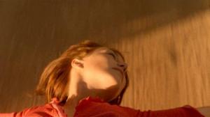 Кадры из фильма Черные лебеди / Zwarte zwanen (2005)