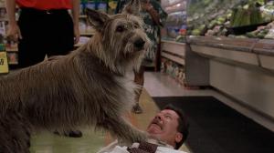 Кадры из фильма Благодаря Винн Дикси / Because of Winn-Dixie (2005)