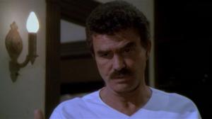 Кадры из фильма Полицейский с половиной / Cop and ½ (1993)