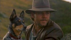 Кадры из фильма Серебряный ветер / The Silver Brumby (1993)